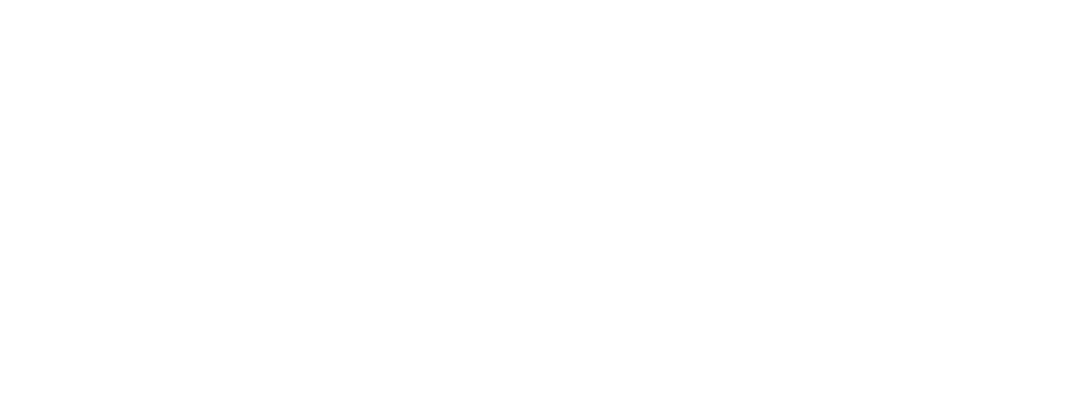 Consolid Travel